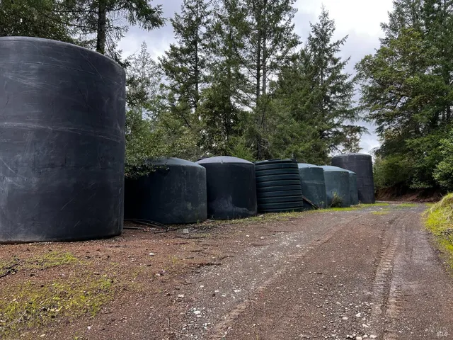 a view of a yard with large trees
