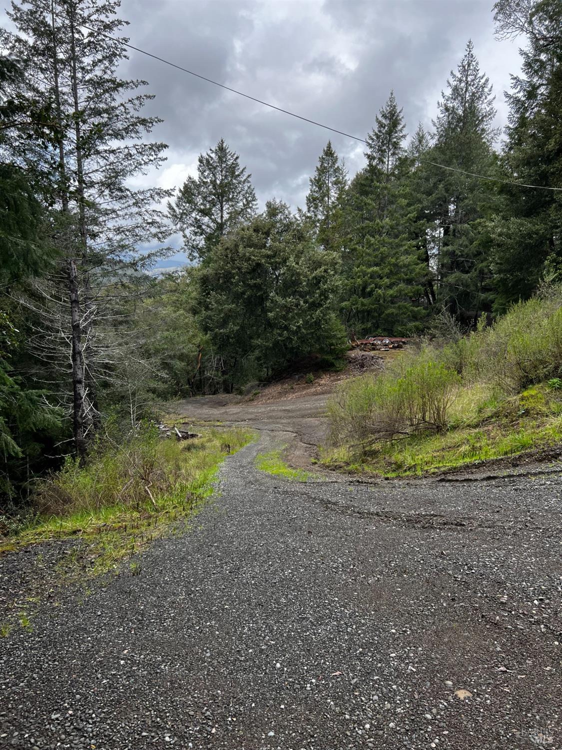 3761 East Blue Rock Road Garberville, CA 95542 - Photo 29 of 38 a view of a yard with large trees
