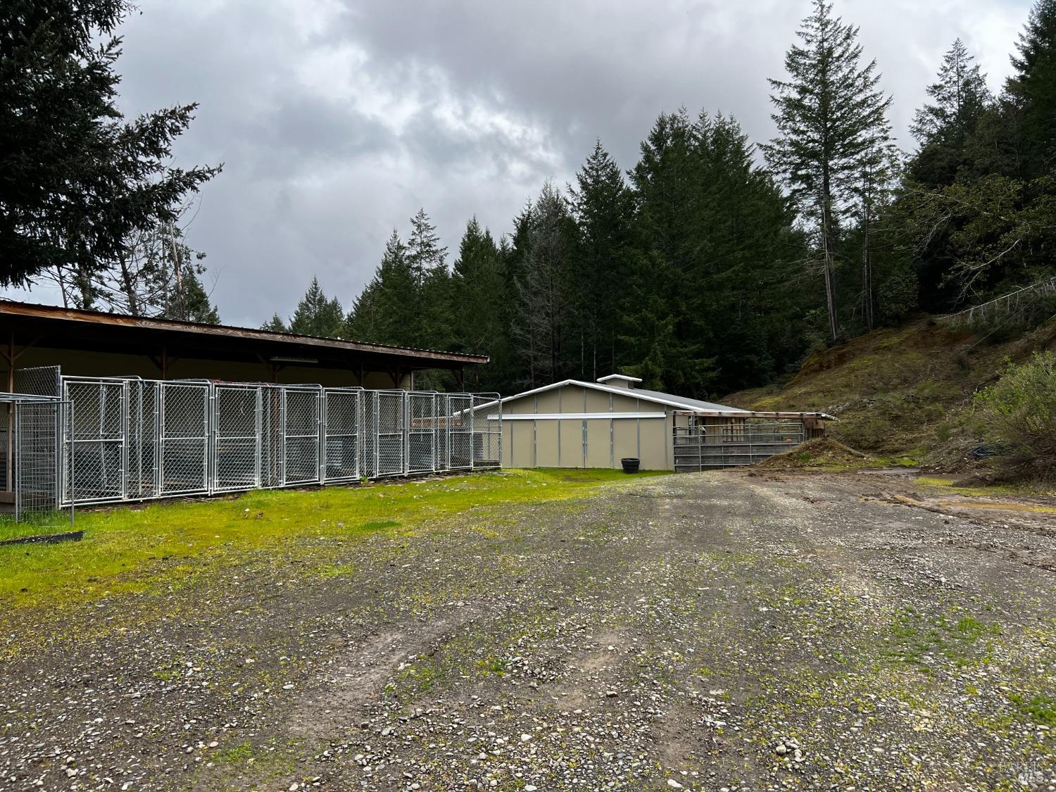 3761 East Blue Rock Road Garberville, CA 95542 - Photo 31 of 38 a view of a house with a yard and large trees