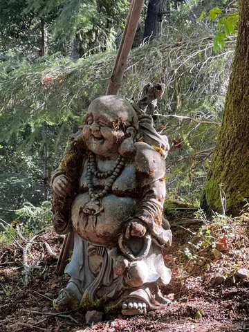 a backyard of a house