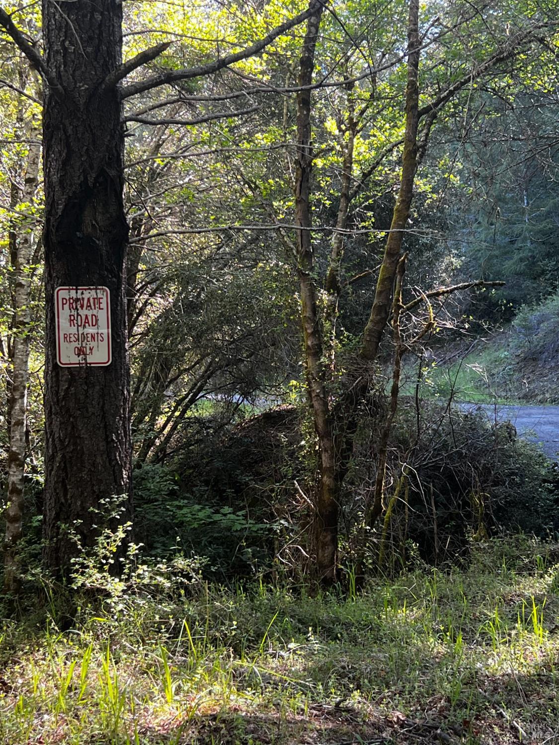 3761 East Blue Rock Road Garberville, CA 95542 - Photo 36 of 38 a view of tree