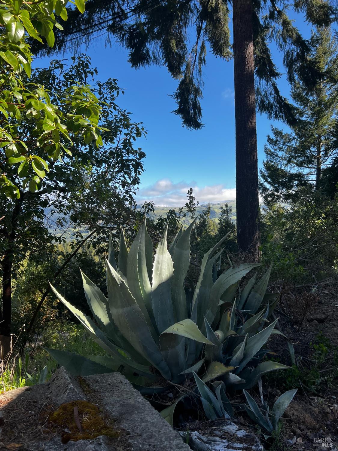 3761 East Blue Rock Road Garberville, CA 95542 - Photo 38 of 38 a view of a backyard of a house with a yard outdoor seating and entertaining space
