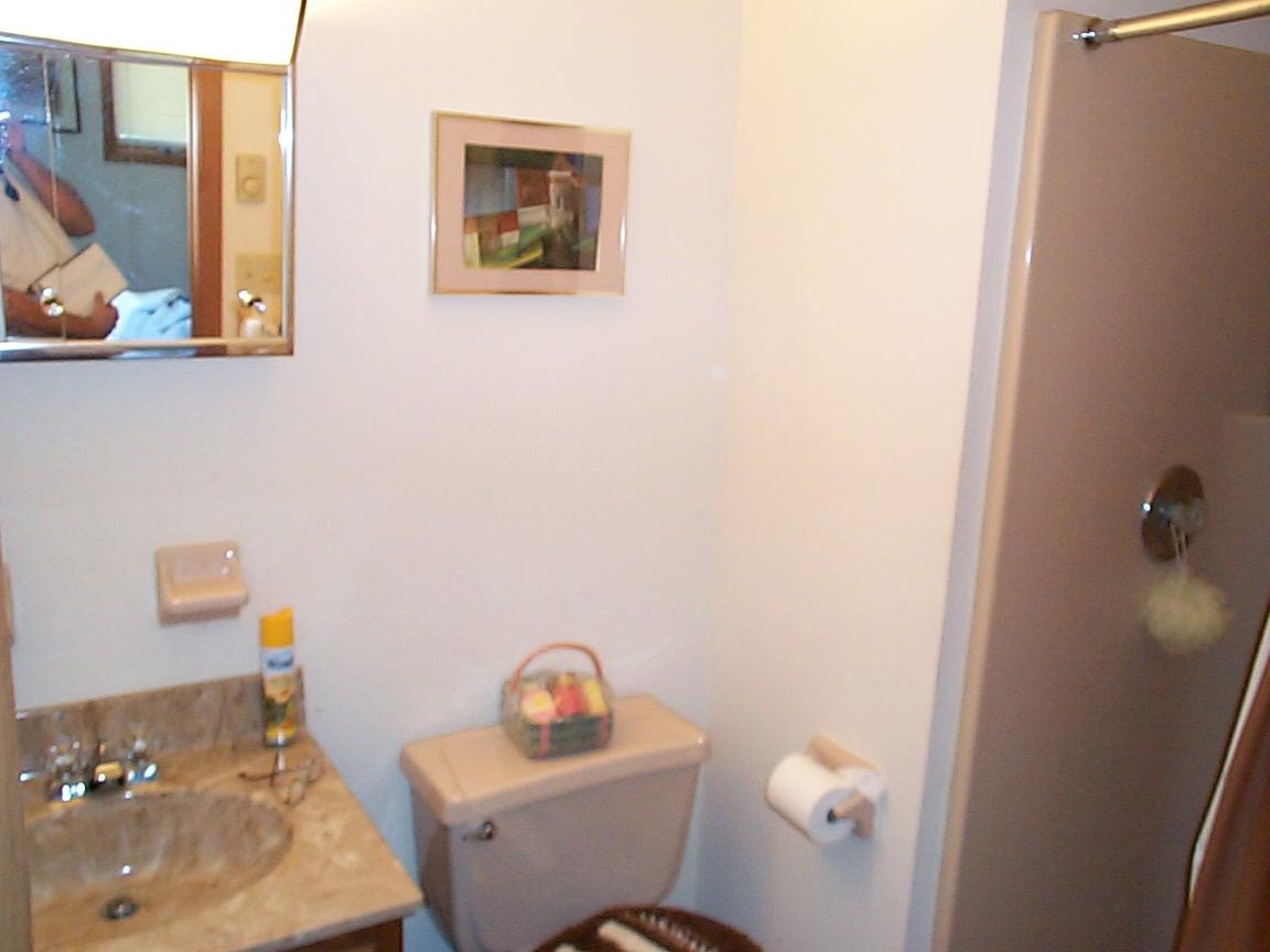 4030 Upper Notch Road Albrightsville, PA 18210 - Photo 9 of 9 Master Bathroom View