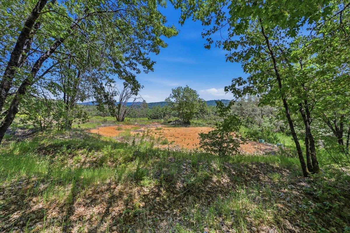 20154 Sky Ridge Place Nevada City, CA 95959 - Photo 13 of 20 a view of a yard with a tree