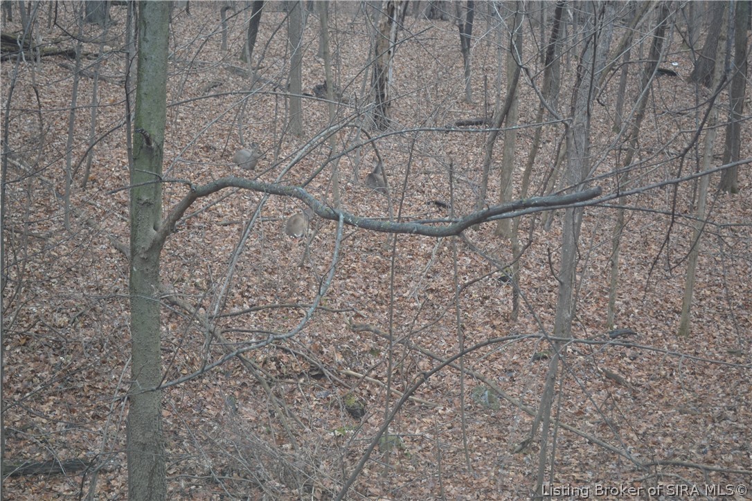 6812 Corydon Ridge Road Georgetown, IN 47122 - Photo 79 of 82