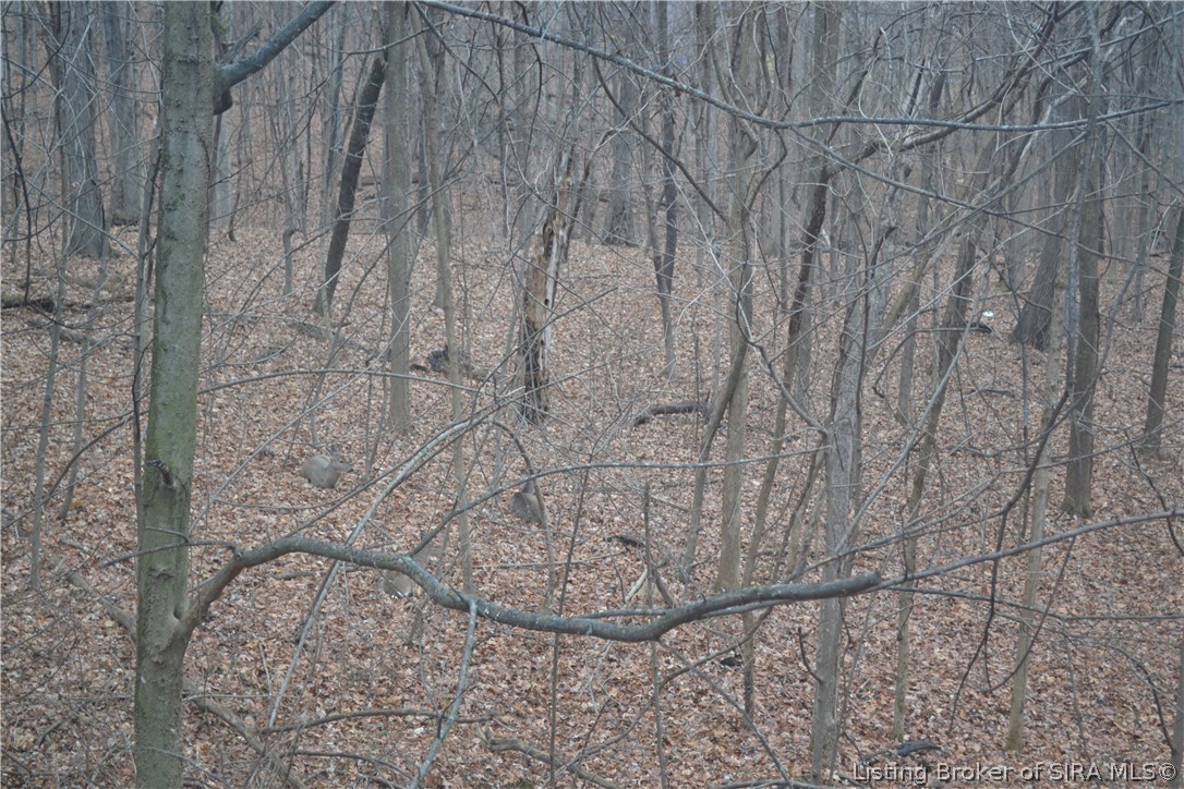 6812 Corydon Ridge Road Georgetown, IN 47122 - Photo 80 of 82