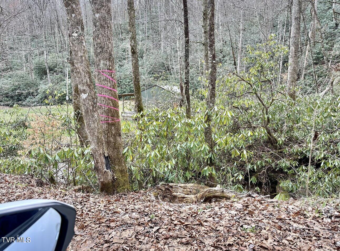 Lot 2-3-4 Heaton Branch Road, Unit 23 Butler, TN 37640 - Photo 8 of 9 propertyline