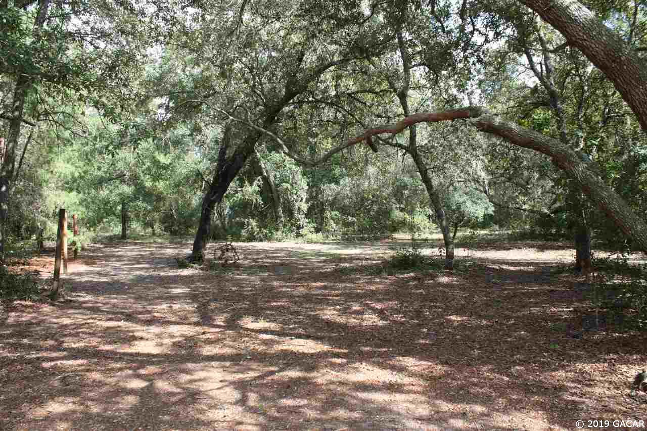 6545 Brooklyn Bay Road Keystone Heights, FL 32656 - Photo 4 of 17