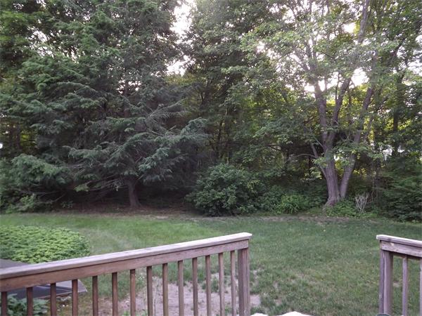 51 Deerfield Road Sharon, MA 02067 - Photo 3 of 10