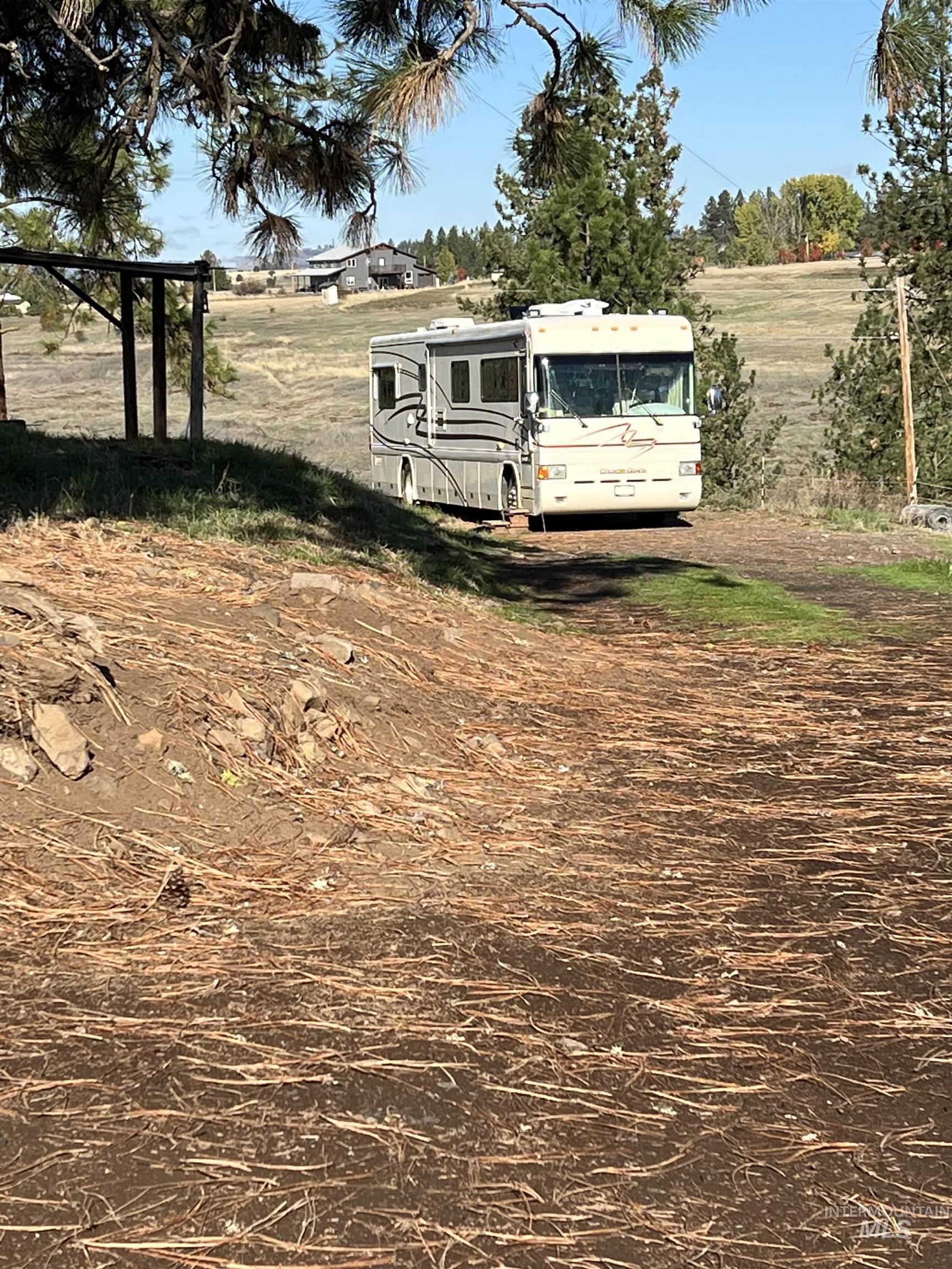 784 Leitch Creek Road Kooskia, ID 83539 - Photo 17 of 24 View of yard