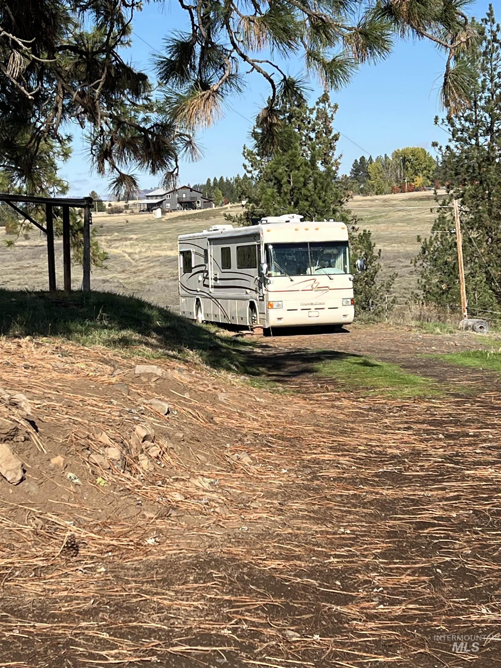 784 Leitch Creek Road Kooskia, ID 83539 - Photo 18 of 24 View of yard