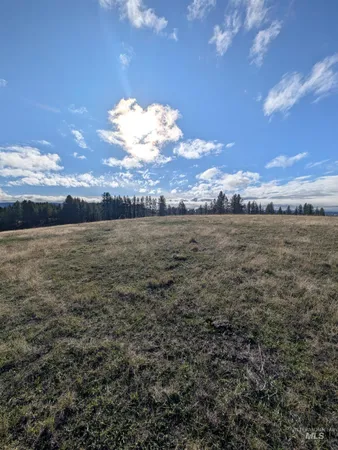 $350,000 | 784 Leitch Creek Road, Kooskia, ID 83539