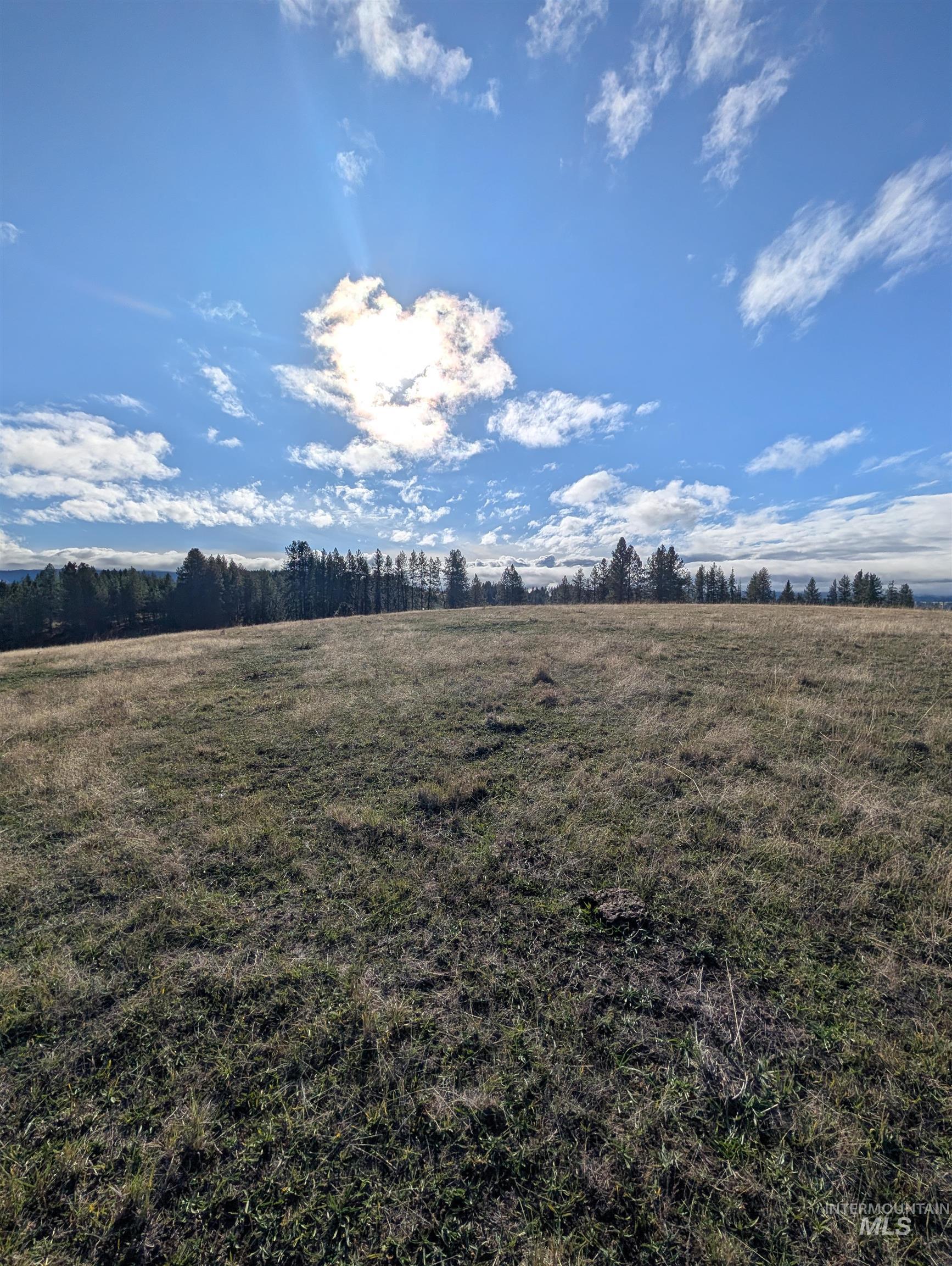 784 Leitch Creek Road Kooskia, ID 83539 - Photo 19 of 24 View of green lawn with a view of rural / pastoral area