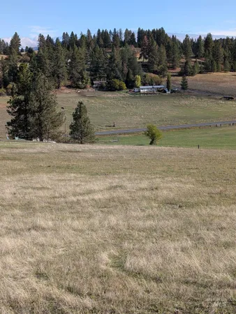 $350,000 | 784 Leitch Creek Road, Kooskia, ID 83539