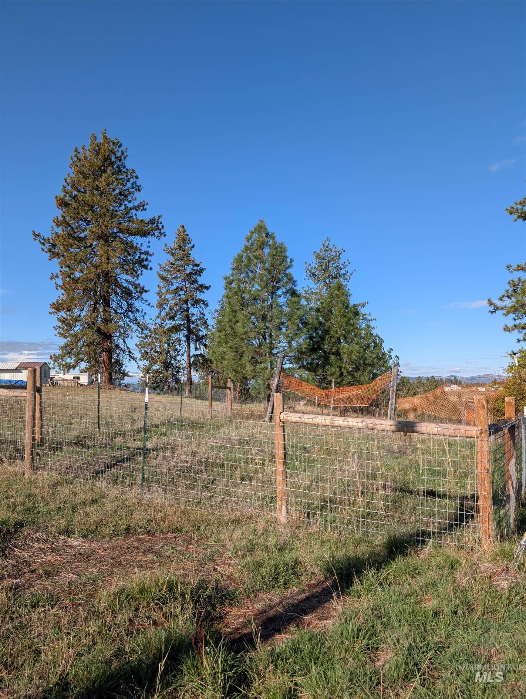 784 Leitch Creek Road Kooskia, ID 83539 - Photo 21 of 24 View of yard