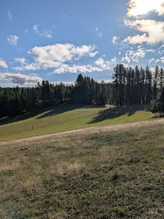 $350,000 | 784 Leitch Creek Road, Kooskia, ID 83539