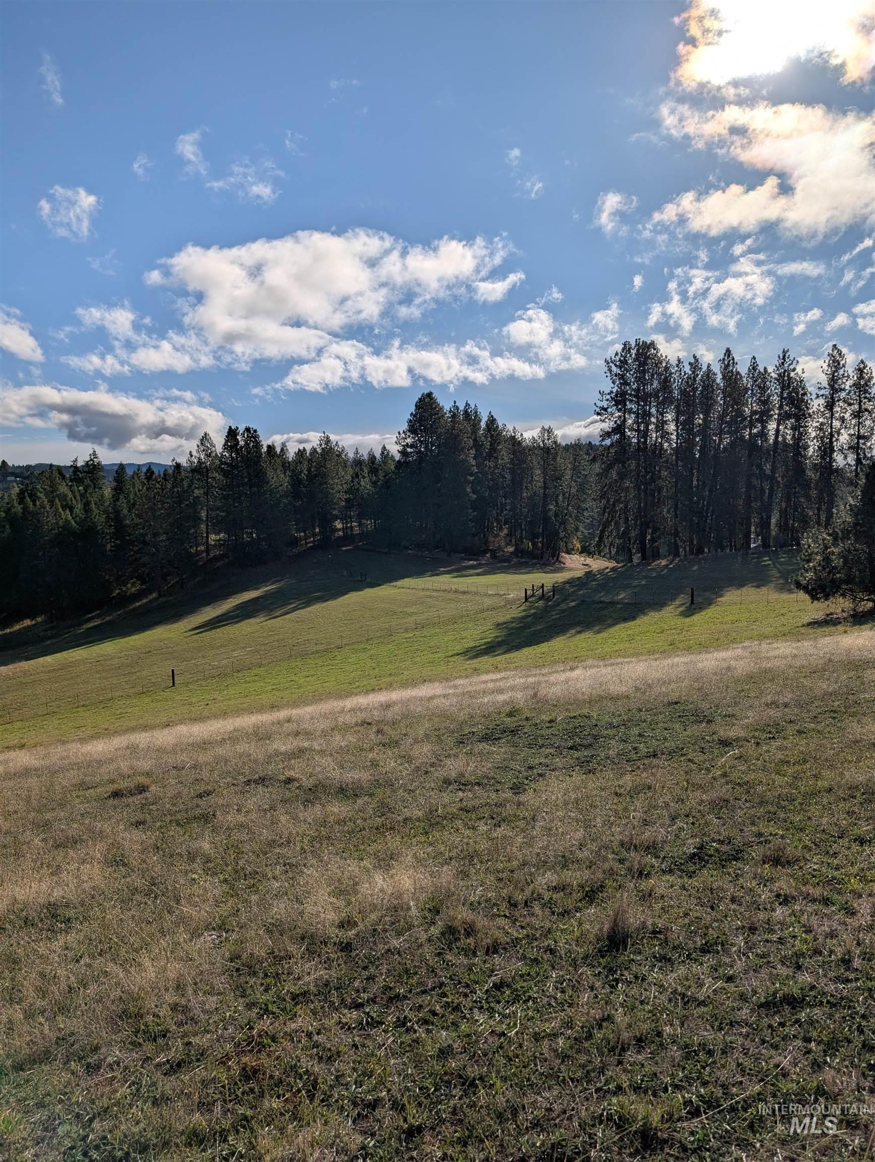 784 Leitch Creek Road Kooskia, ID 83539 - Photo 3 of 24 View of green lawn featuring a view of trees