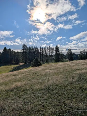 $350,000 | 784 Leitch Creek Road, Kooskia, ID 83539