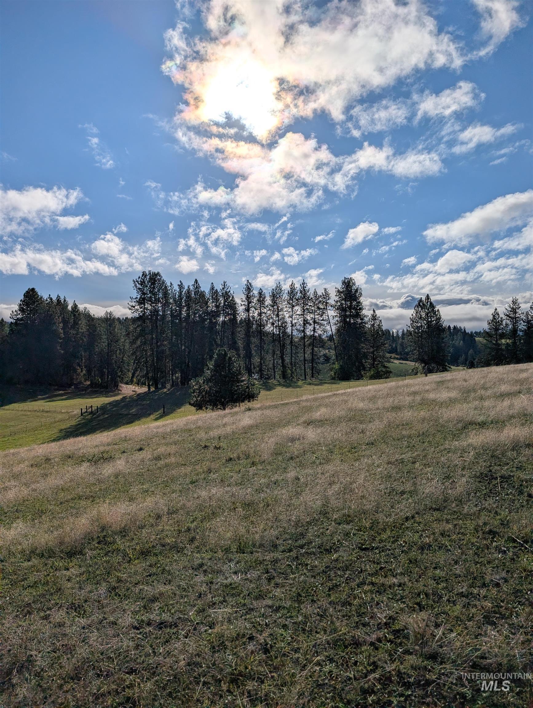784 Leitch Creek Road Kooskia, ID 83539 - Photo 4 of 24 View of woods with a view of rural / pastoral area