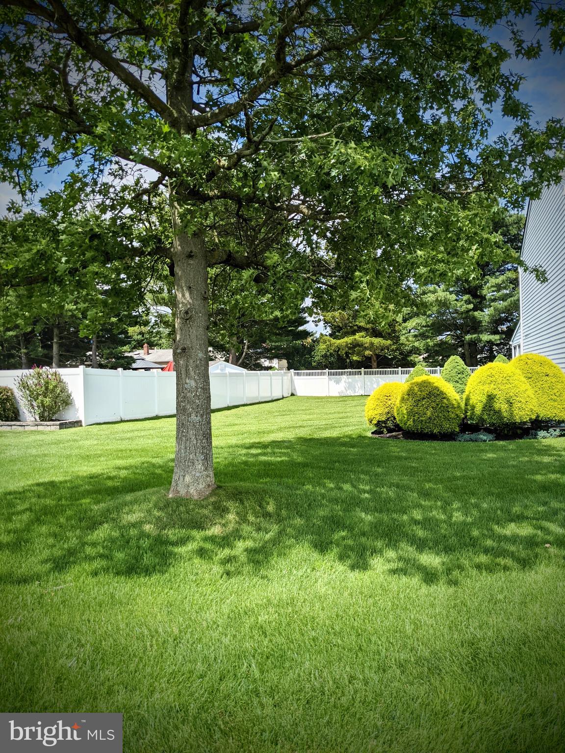 41 Wayside Road Berlin, NJ 08009 - Photo 2 of 33 Side yard.
