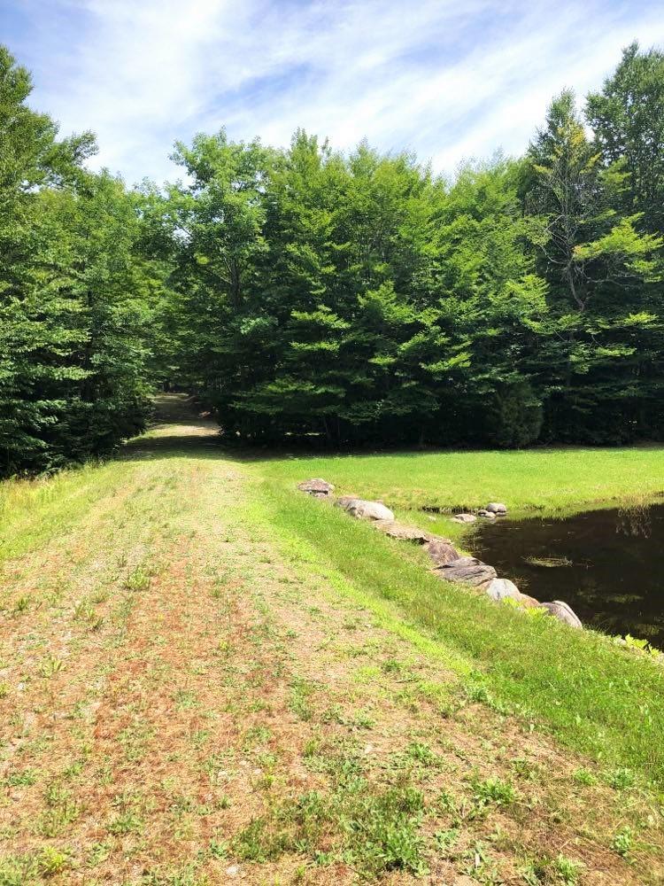 871 Belfast Road Knox, ME 04986 - Photo 8 of 31 Other Lot Driveway