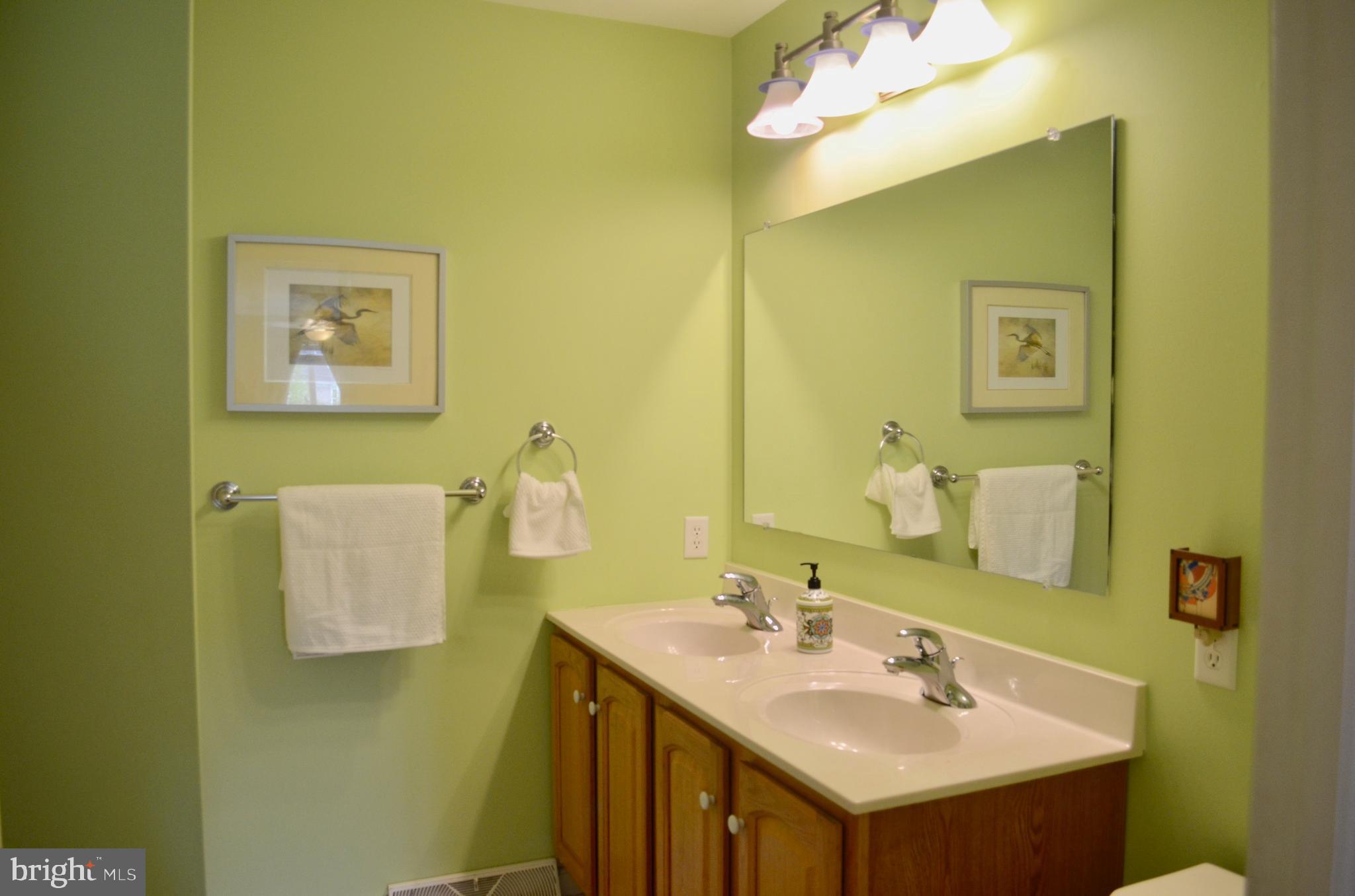 610 Courthouse Circle Lititz, PA 17543 - Photo 20 of 53 double bowl vanity