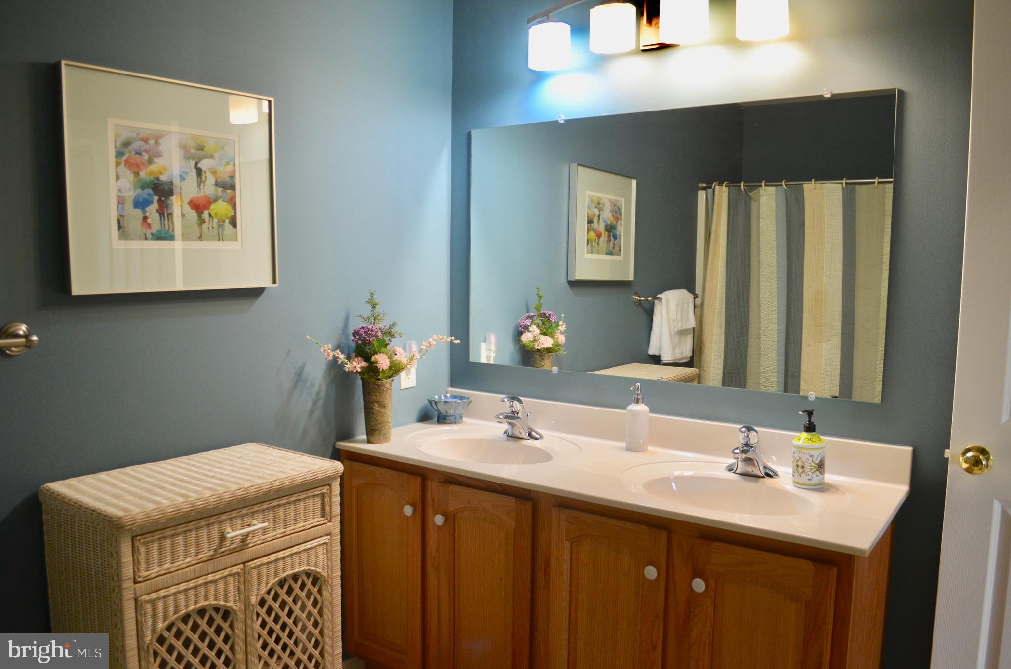 610 Courthouse Circle Lititz, PA 17543 - Photo 34 of 53 Double bowl vanity