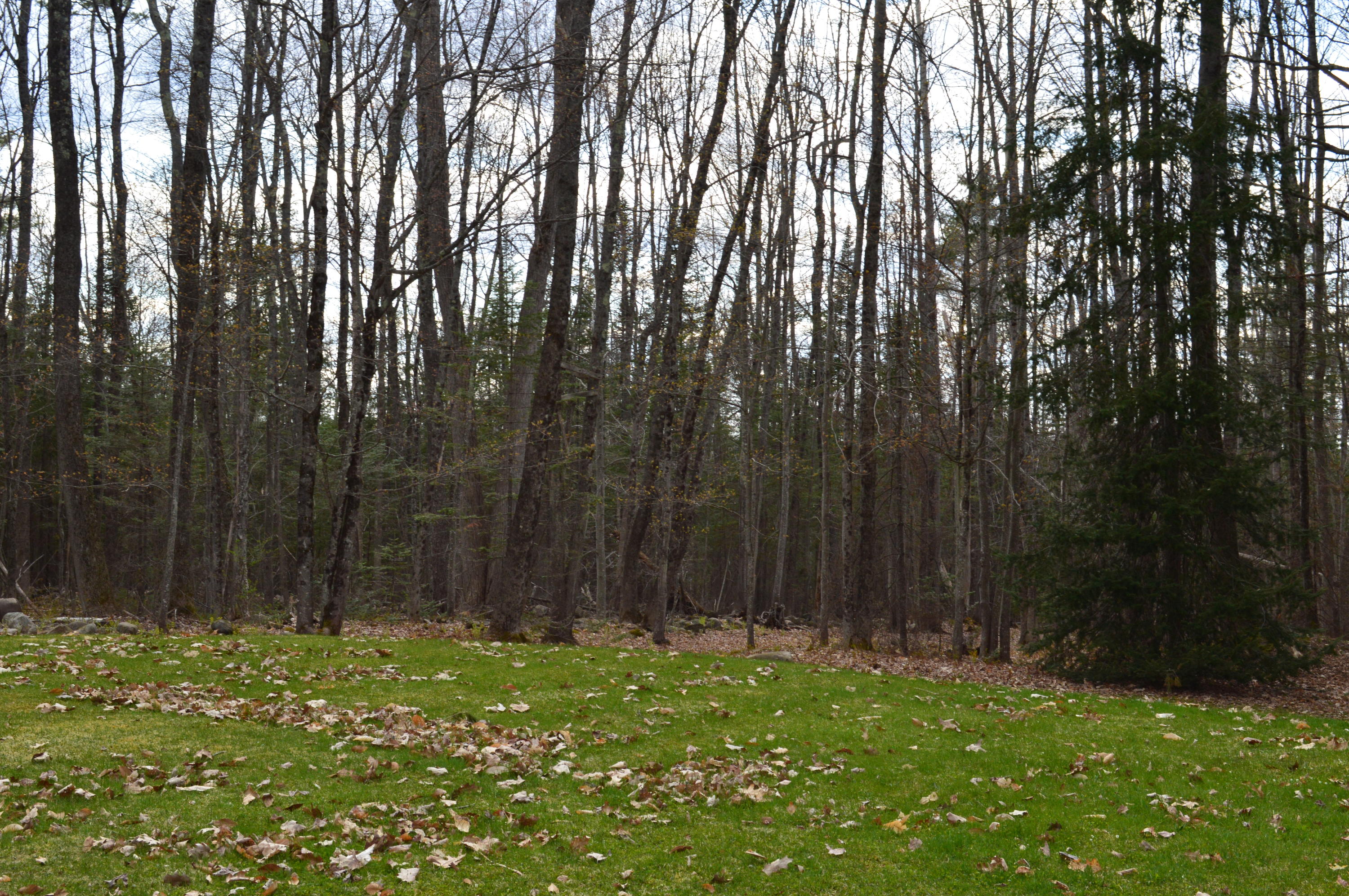 189 Stanley Road Readfield, ME 04355 - Photo 40 of 44 DSC_0201
