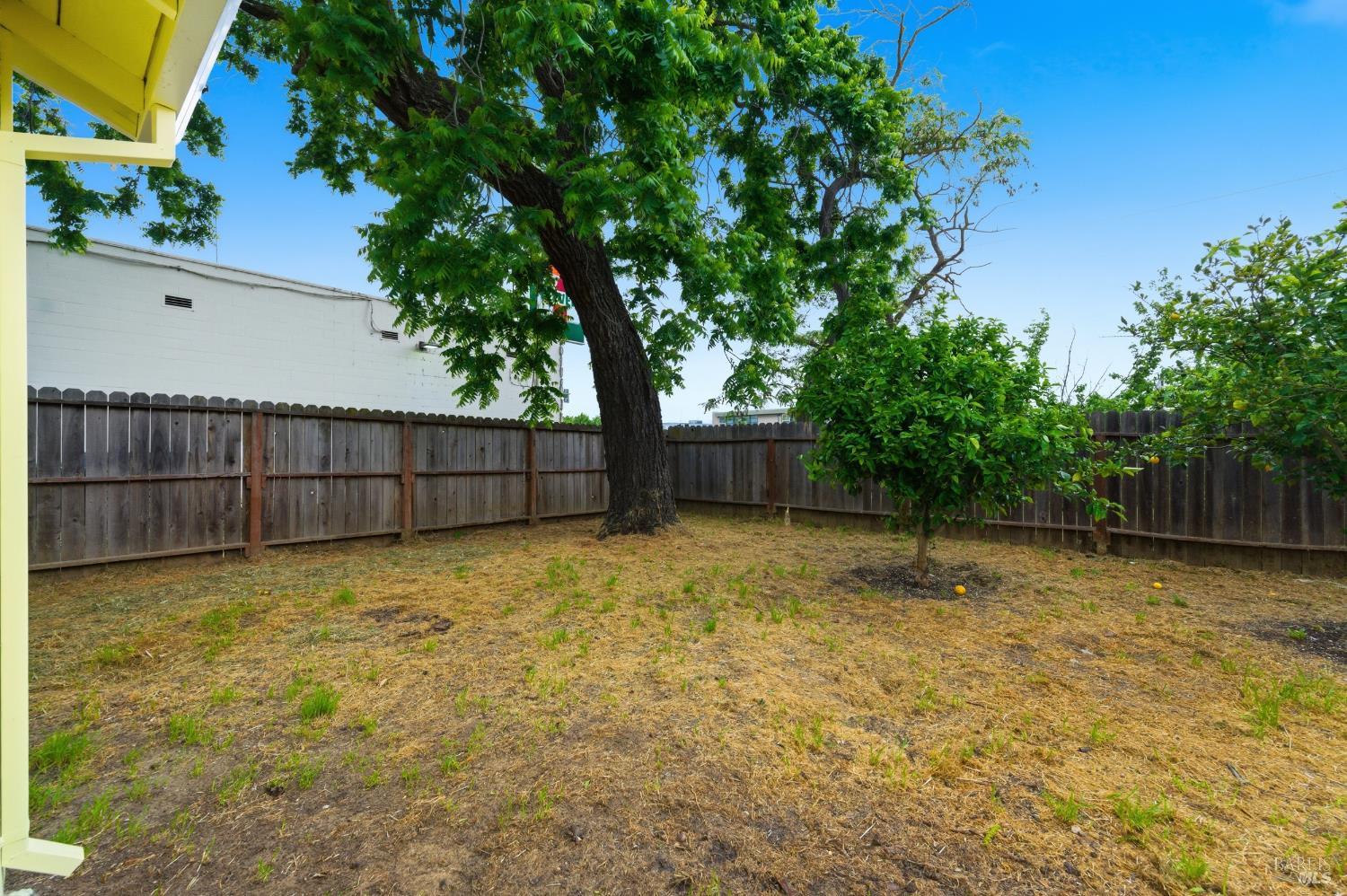 691 Annette Avenue Vallejo, CA 94591 - Photo 28 of 41 a view of a yard with a tree