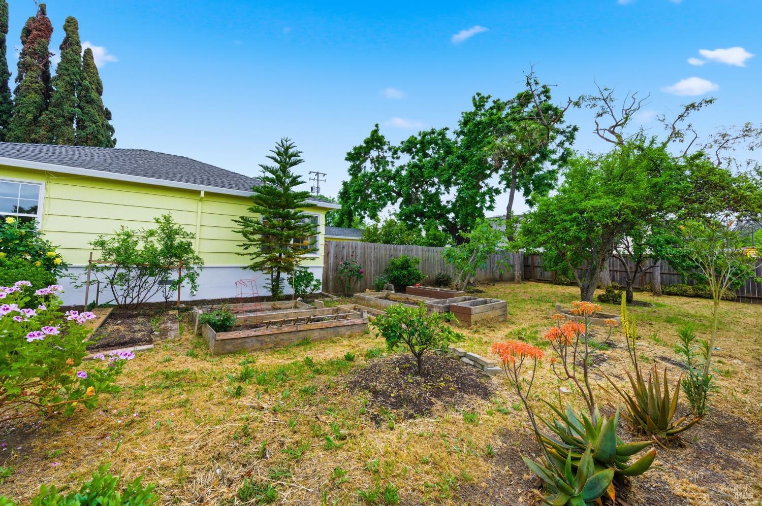691 Annette Avenue Vallejo, CA 94591 - Photo 31 of 41 a view of a backyard with plants and palm tree