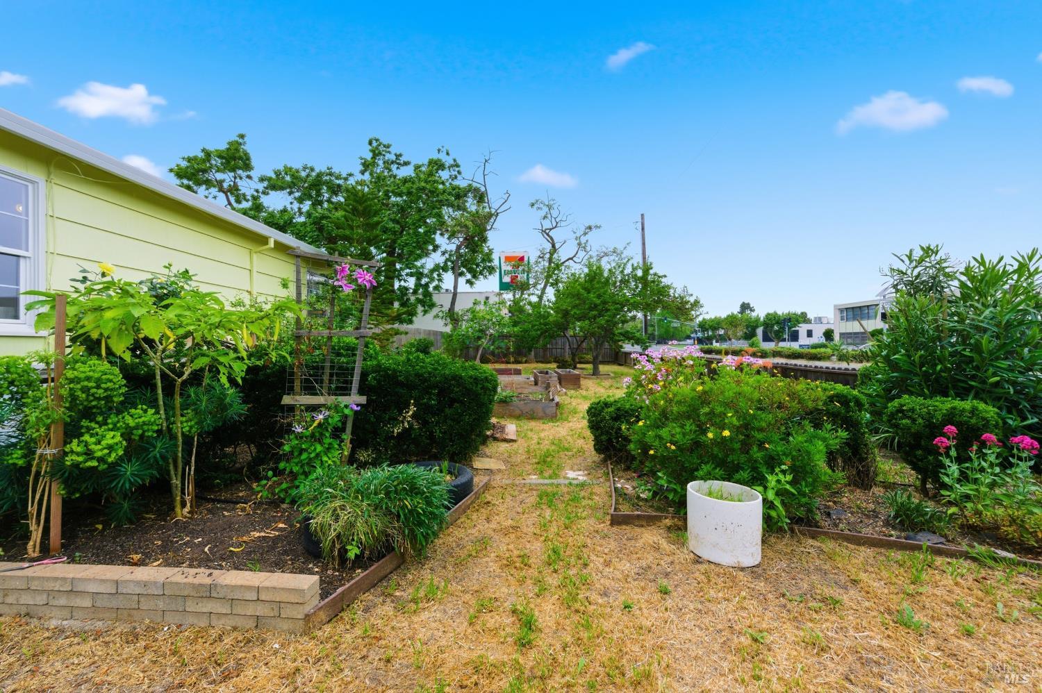 691 Annette Avenue Vallejo, CA 94591 - Photo 32 of 41 a view of a garden with plants and a bench
