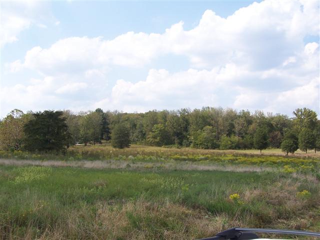 0 Amos Hamlett Road Pulaski, TN 38478 - Photo 1 of 17 Gallery Image 1