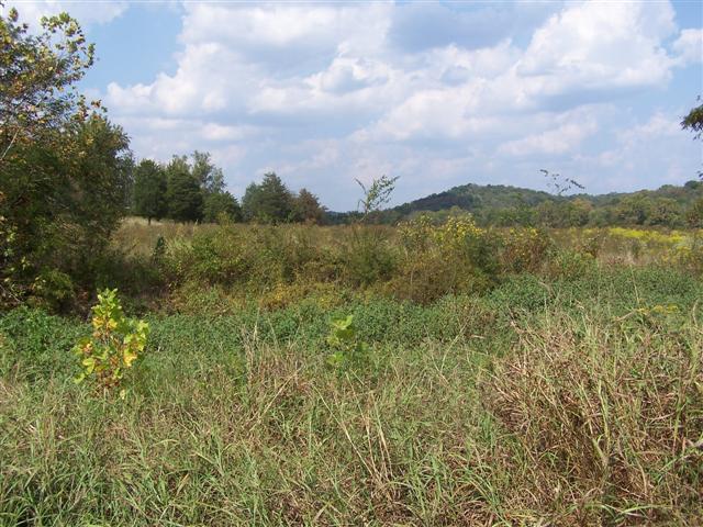 0 Amos Hamlett Road Pulaski, TN 38478 - Photo 2 of 17 Gallery Image 2