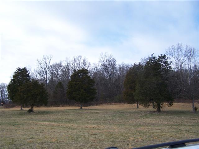 0 Amos Hamlett Road Pulaski, TN 38478 - Photo 11 of 17 Gallery Image 11