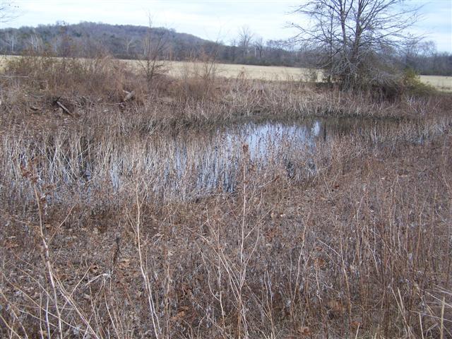 0 Amos Hamlett Road Pulaski, TN 38478 - Photo 13 of 17 Gallery Image 13