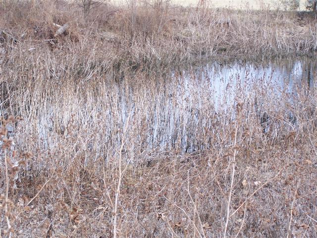 0 Amos Hamlett Road Pulaski, TN 38478 - Photo 14 of 17 Gallery Image 14
