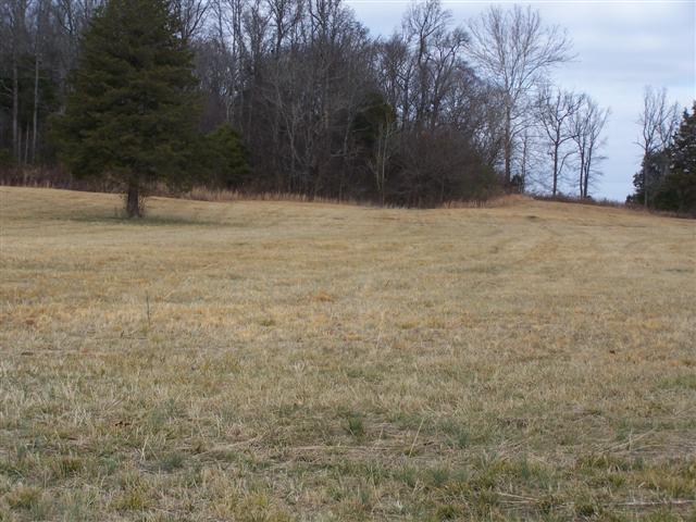 0 Amos Hamlett Road Pulaski, TN 38478 - Photo 15 of 17 Gallery Image 15