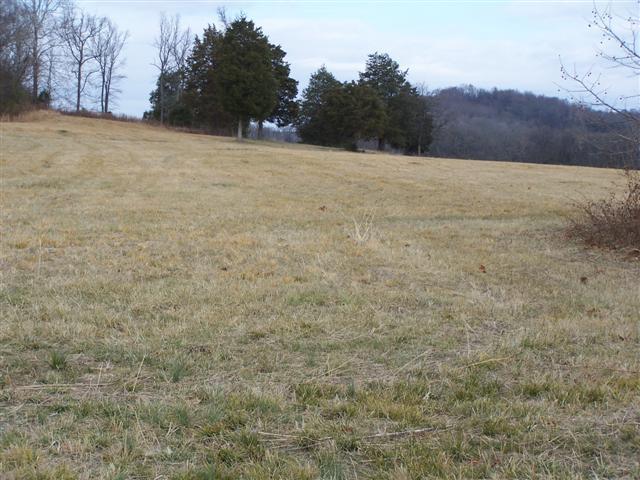 0 Amos Hamlett Road Pulaski, TN 38478 - Photo 16 of 17 Gallery Image 16