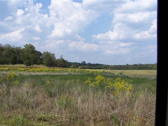 0 Amos Hamlett Road Pulaski, TN 38478 - Photo 5 of 17 Gallery Image 5