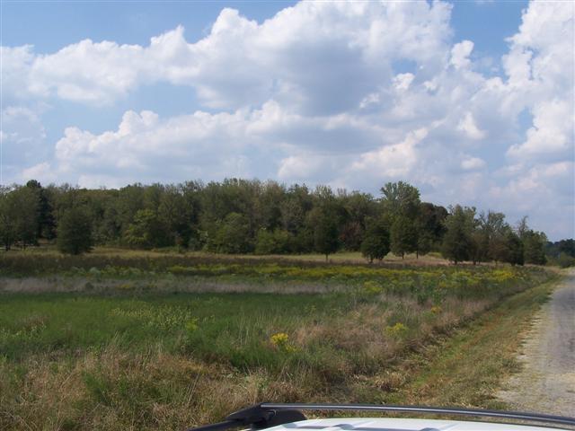 0 Amos Hamlett Road Pulaski, TN 38478 - Photo 7 of 17 Gallery Image 7