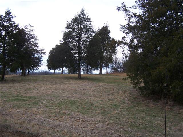 0 Amos Hamlett Road Pulaski, TN 38478 - Photo 8 of 17 Gallery Image 8
