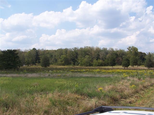 0 Amos Hamlett Road Pulaski, TN 38478 - Photo 9 of 17 Gallery Image 9