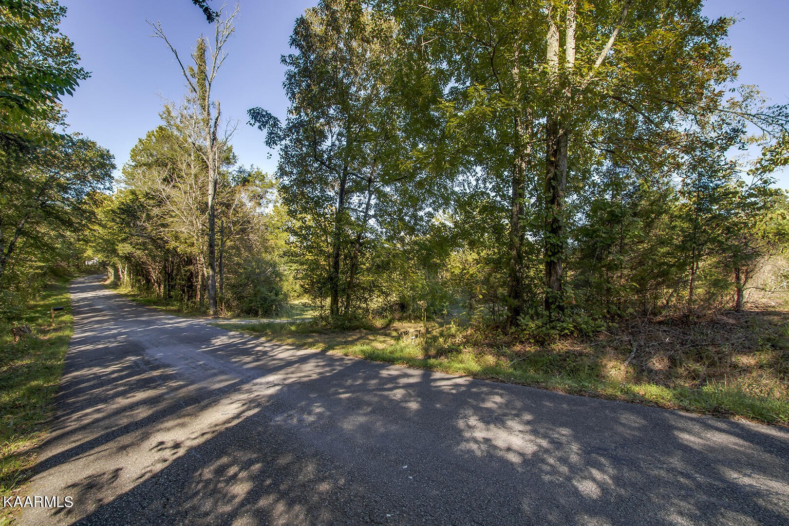 0 Shaddon Road Tellico Plains, TN 37385 - Photo 1 of 17