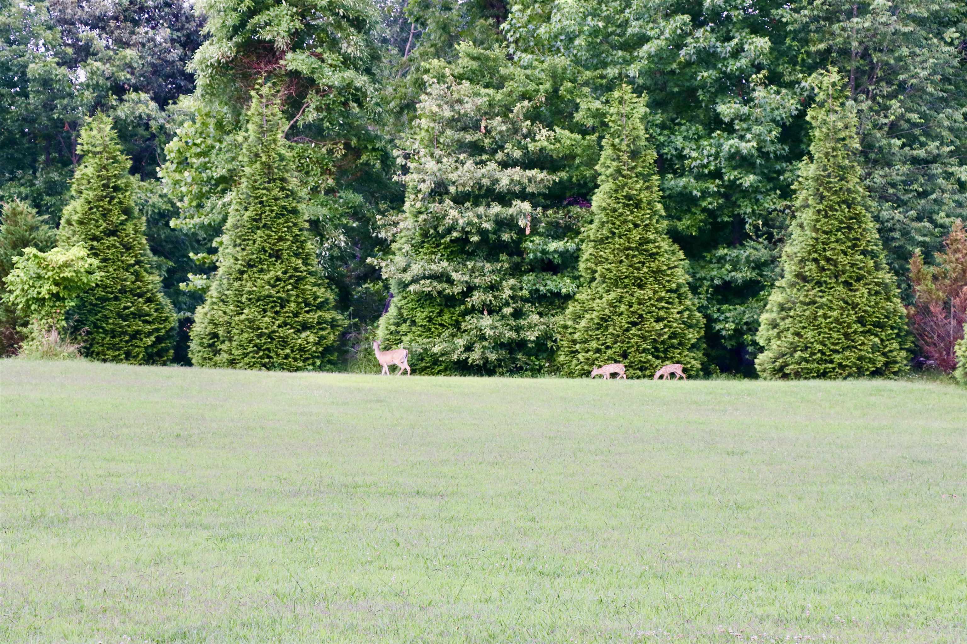4710 Portersville Road Atoka, TN 38004 - Photo 25 of 25 Gallery Image 25