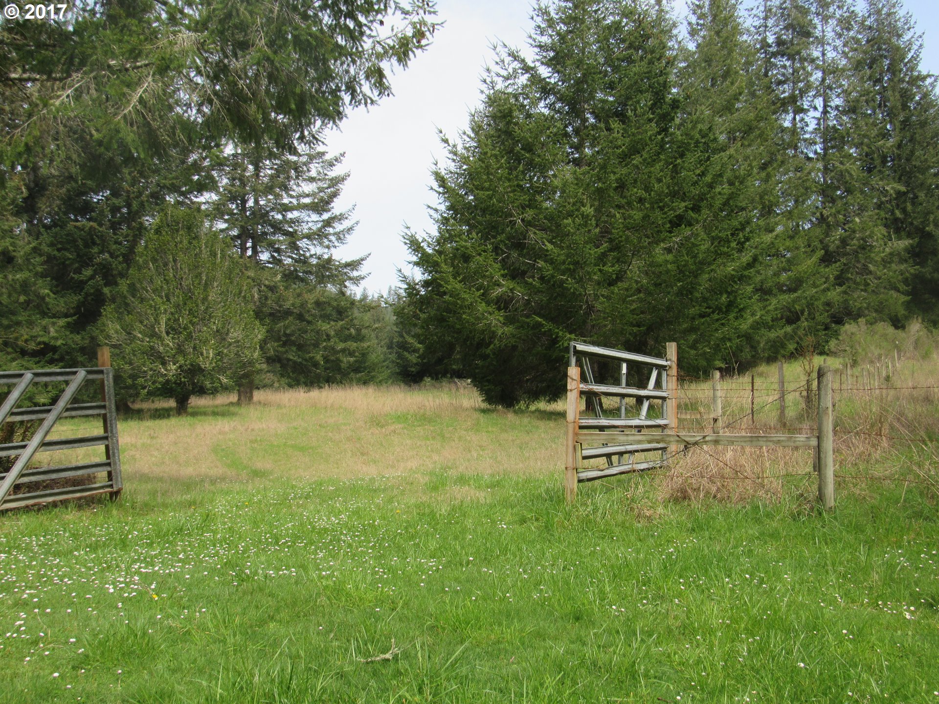 56781 Henry George Road Coquille, OR 97423 - Photo 3 of 32 Gallery Image 3