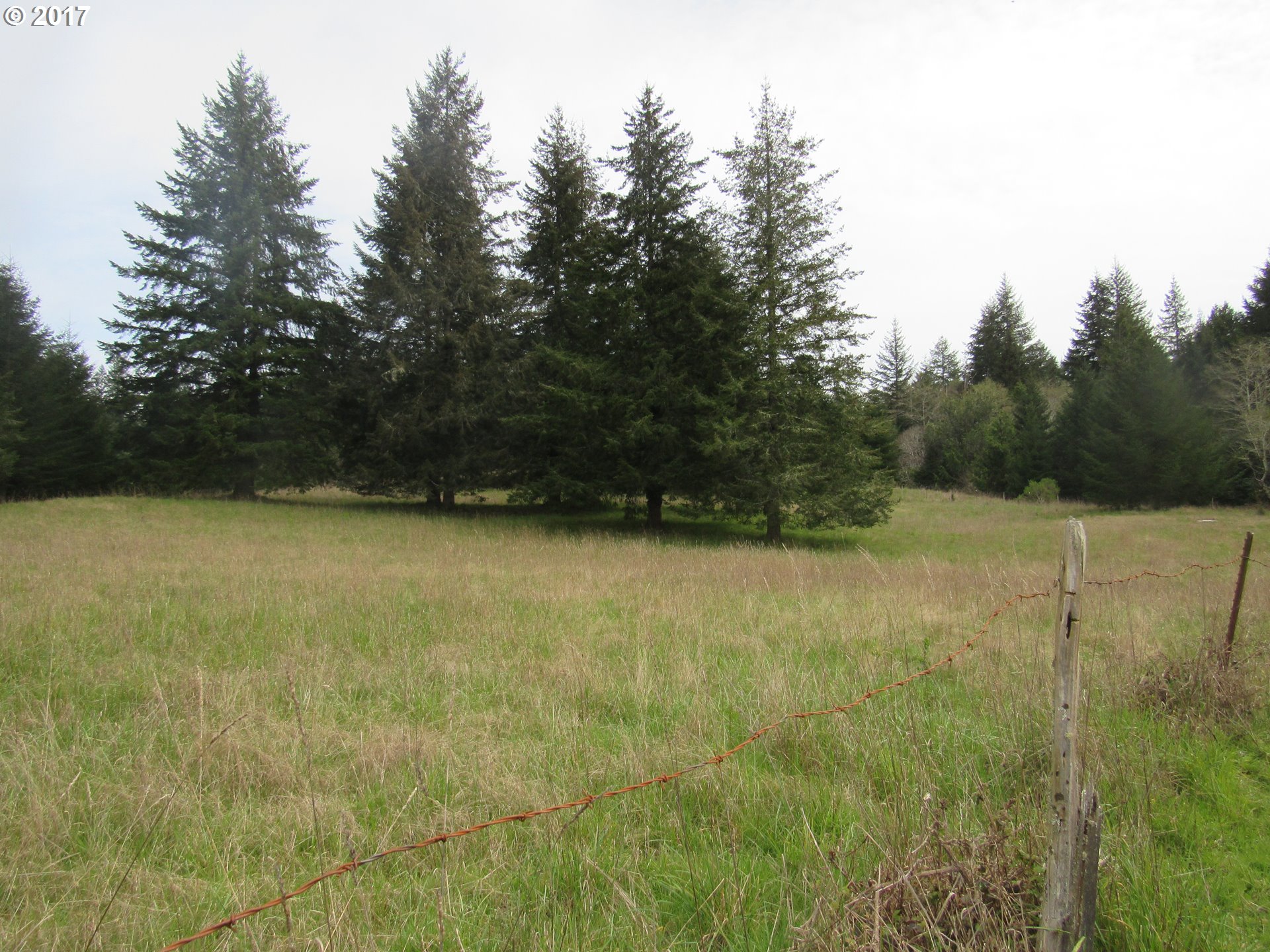 56781 Henry George Road Coquille, OR 97423 - Photo 8 of 32 Gallery Image 8