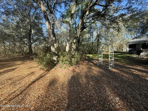a view of backyard with green space