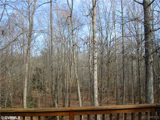 18099 Hewlett Road Beaverdam, VA 23015 - Photo 5 of 12 View