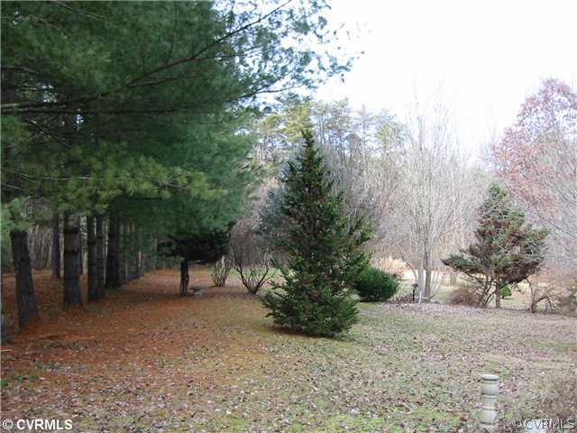 18099 Hewlett Road Beaverdam, VA 23015 - Photo 6 of 12 Yard/Garden
