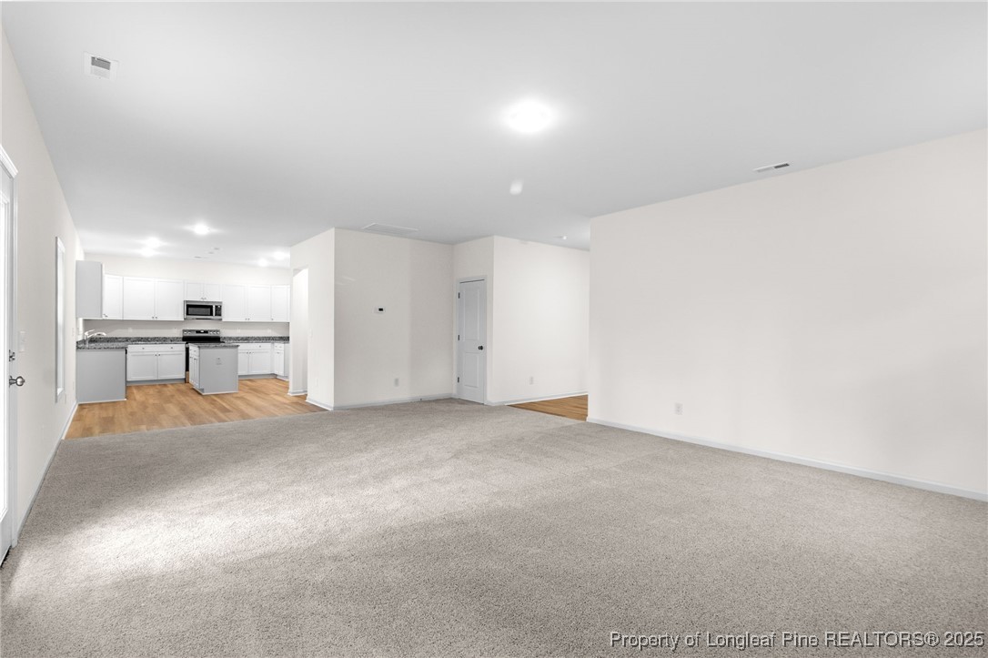 171 Traveller Way Raeford, NC 28376 - Photo 13 of 47